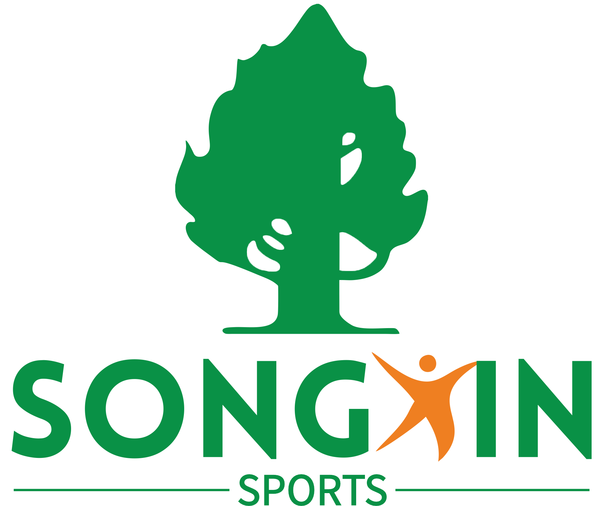SONGXIN